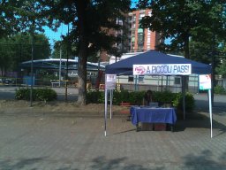 27-10-2012 flash mob affido